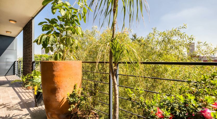 Photo of Vibrant Skyline Retreat