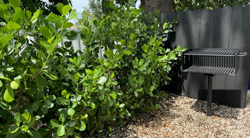 Photo of Miami Spice