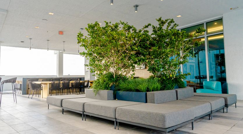 Photo of Miami Design