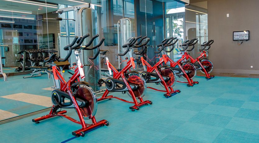 Photo of Designer Dream