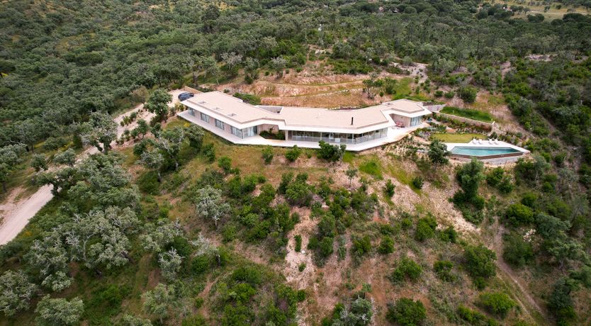 Photo of Forever Peace