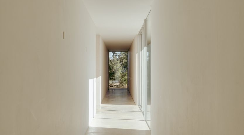 Photo of Forever Peace