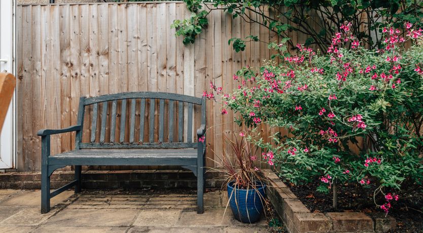 Photo of A Green Space