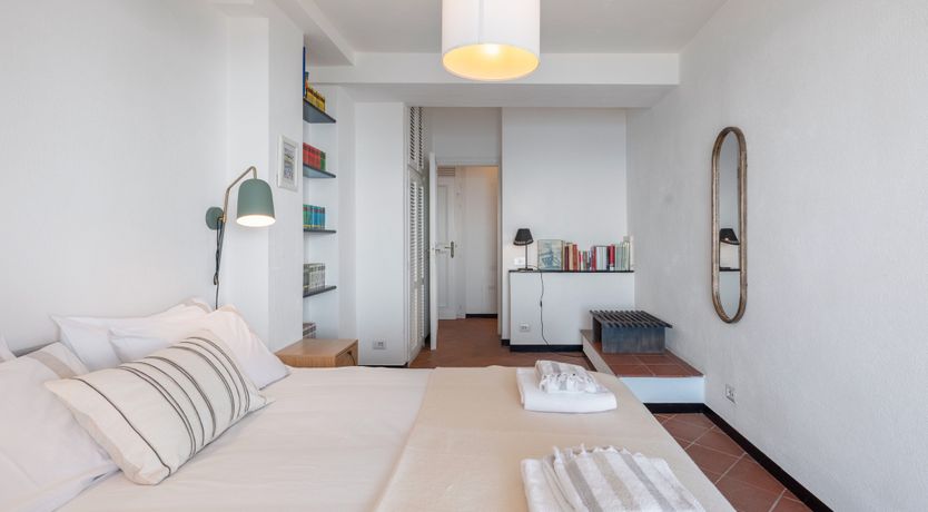 Photo of Mediterranean Pine