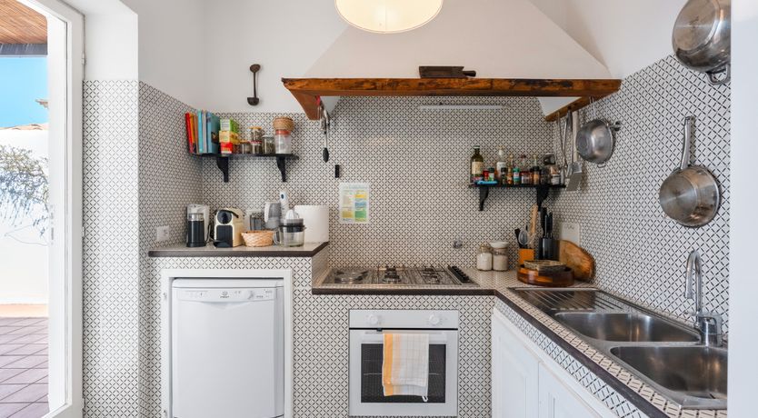 Photo of Mediterranean Pine