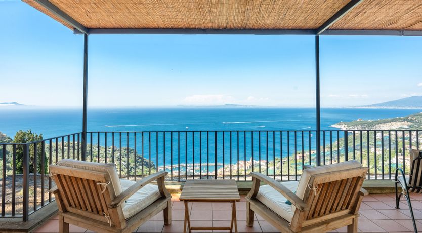 Photo of Mediterranean Pine