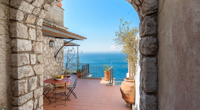 Photo of Mediterranean Pine