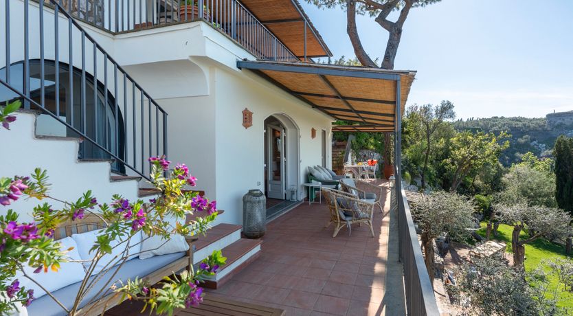 Photo of Mediterranean Pine