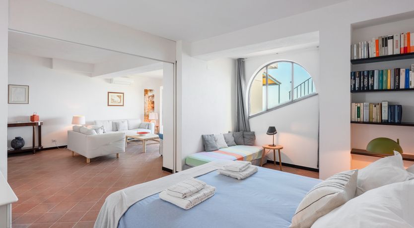 Photo of Mediterranean Pine