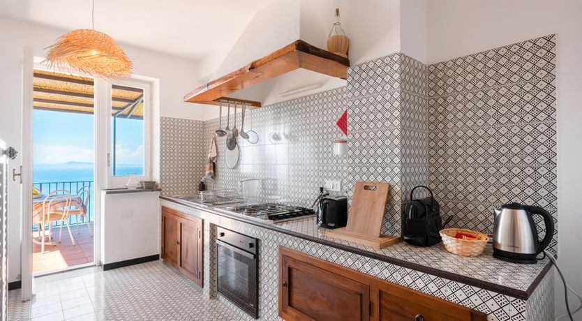 Photo of Mediterranean Pine