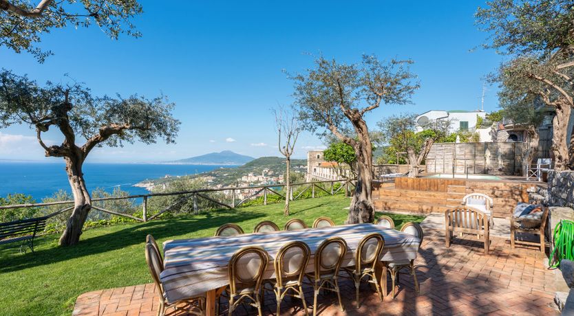 Photo of Mediterranean Pine