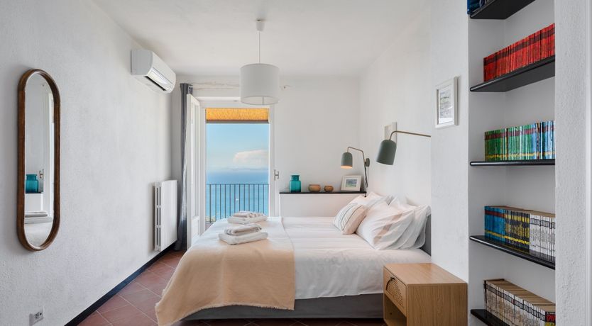 Photo of Mediterranean Pine