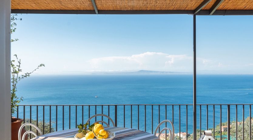 Photo of Mediterranean Pine