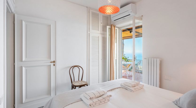 Photo of Mediterranean Pine