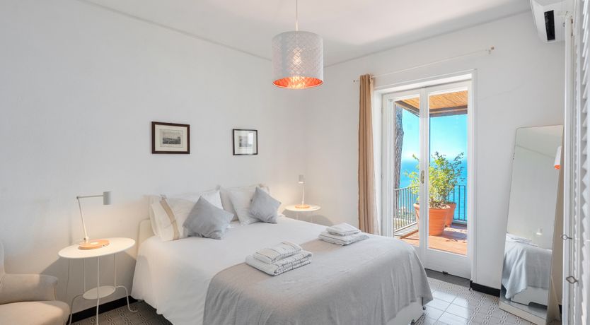 Photo of Mediterranean Pine