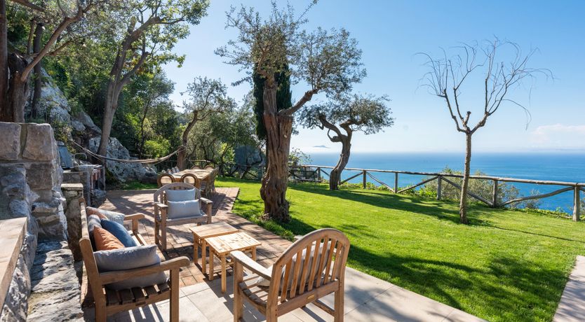 Photo of Mediterranean Pine