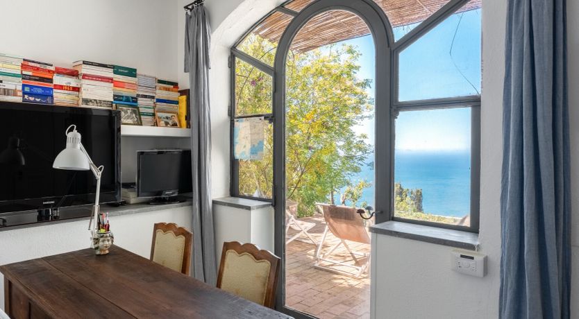 Photo of Mediterranean Pine