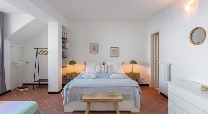 Photo of Mediterranean Pine