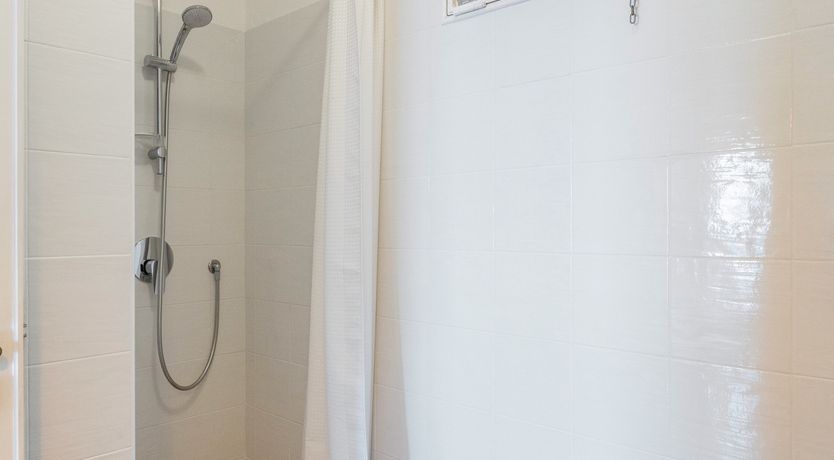 Photo of Mediterranean Pine