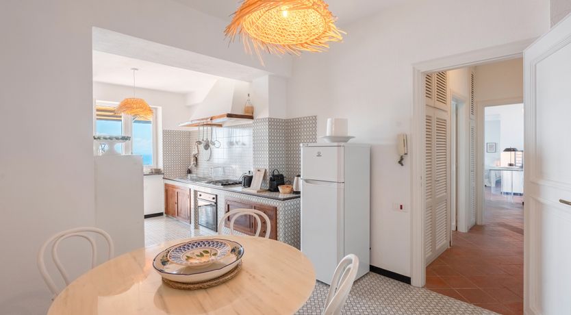 Photo of Mediterranean Pine