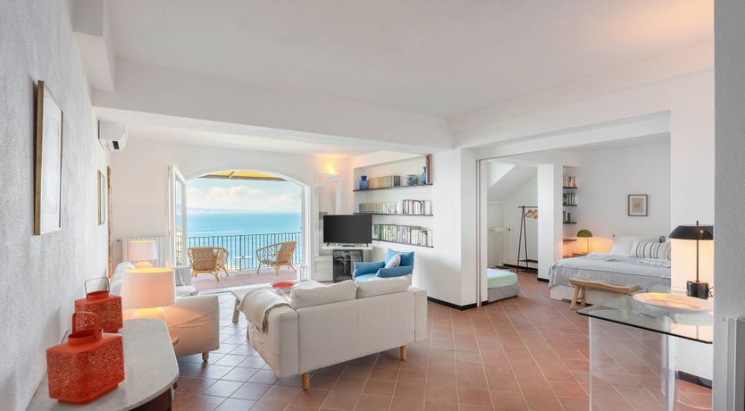 Photo of Mediterranean Pine