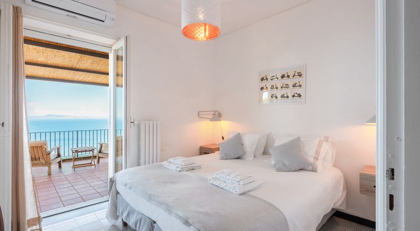 Photo of Mediterranean Pine