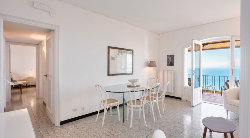 Photo of Mediterranean Pine