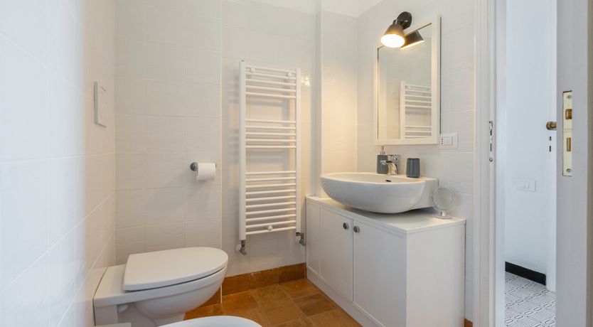 Photo of Mediterranean Pine