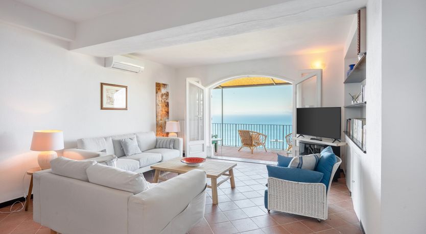 Photo of Mediterranean Pine