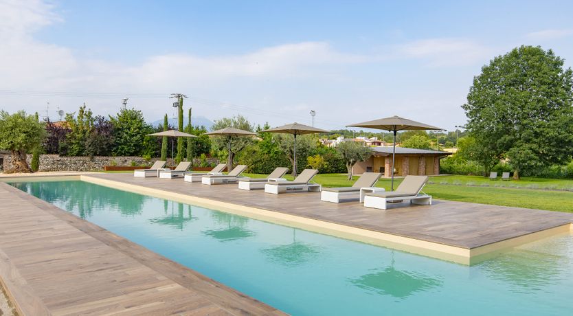 Photo of Vineyard Bliss