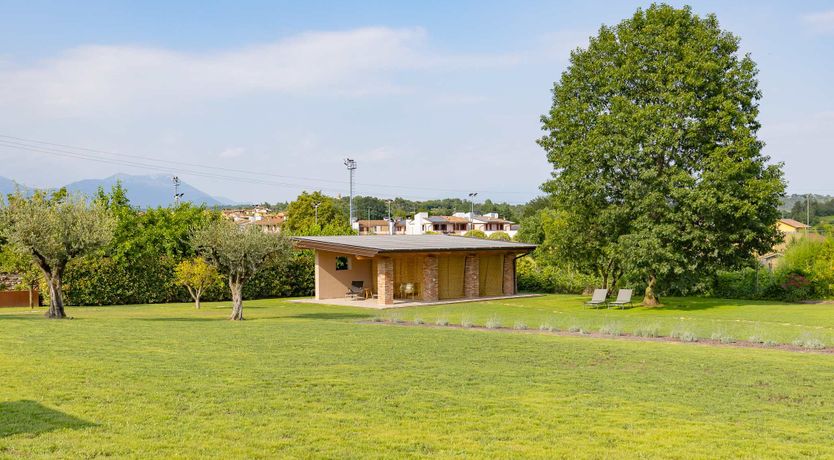 Photo of Vineyard Bliss