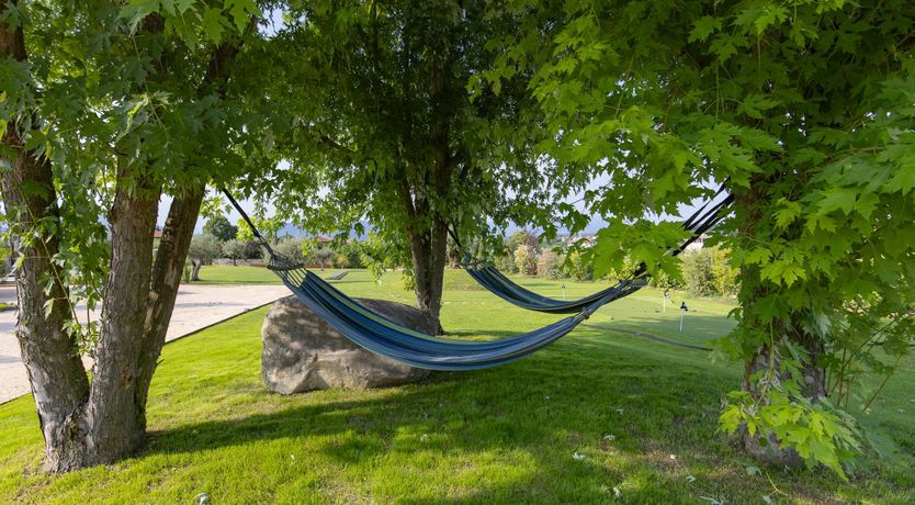 Photo of Vineyard Bliss