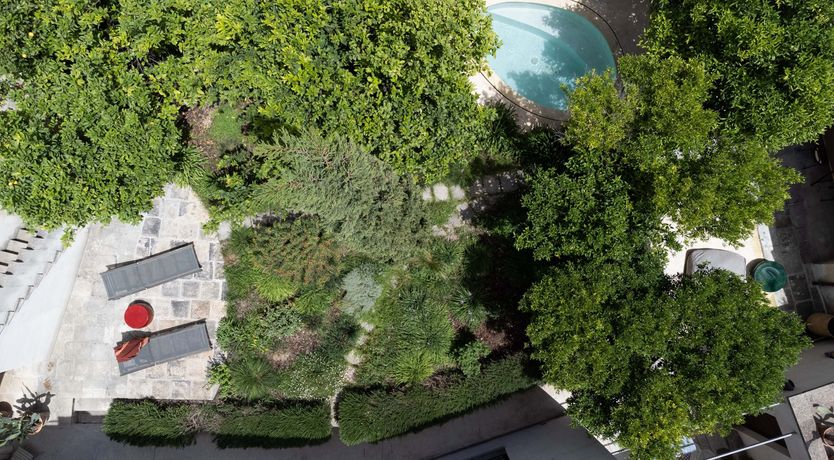 Photo of Citrus Garden