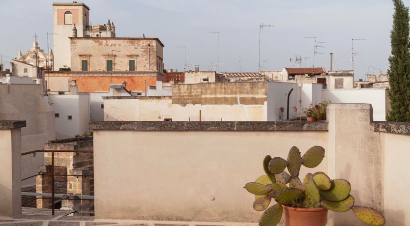 Photo of Citrus Garden