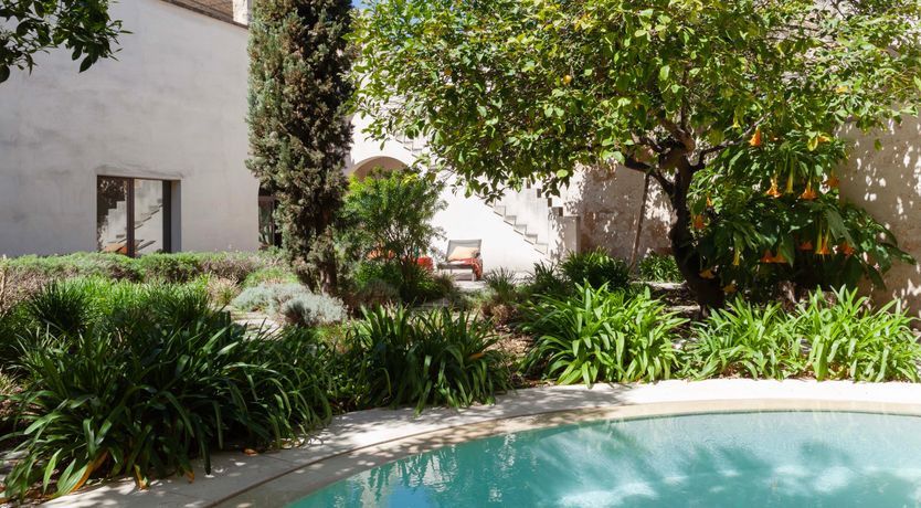 Photo of Citrus Garden