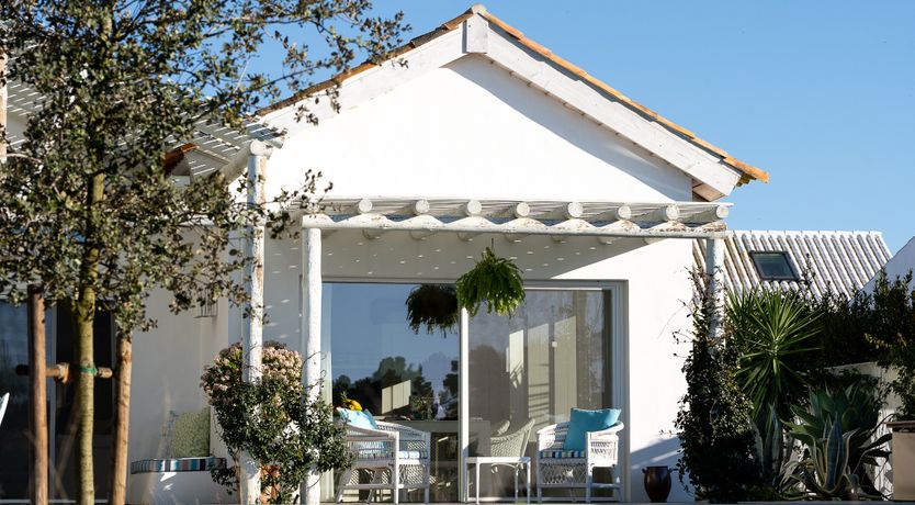 Photo of Love Serenade