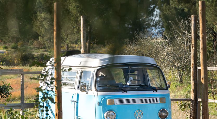 Photo of Love Serenade