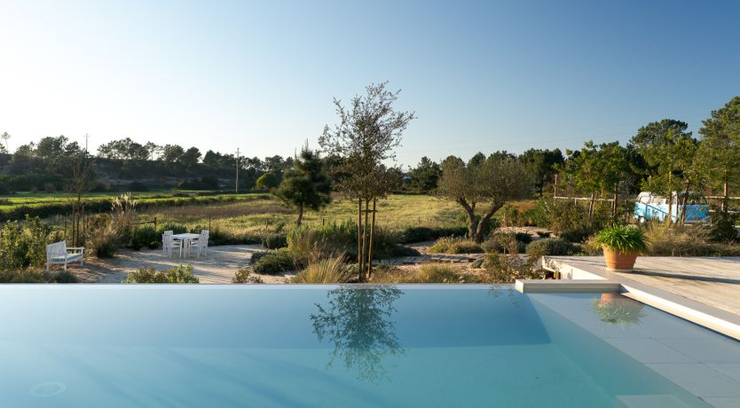 Photo of Love Serenade