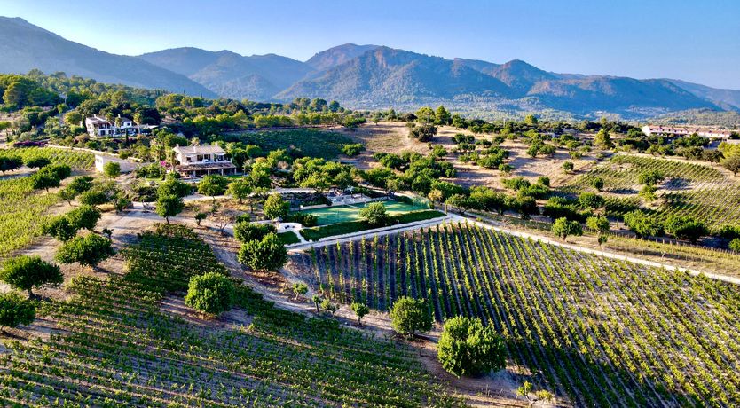 Photo of Summer Splendour