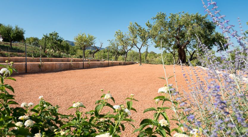 Photo of Summer Splendour