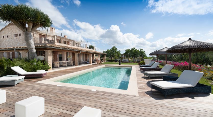 Photo of Summer Splendour