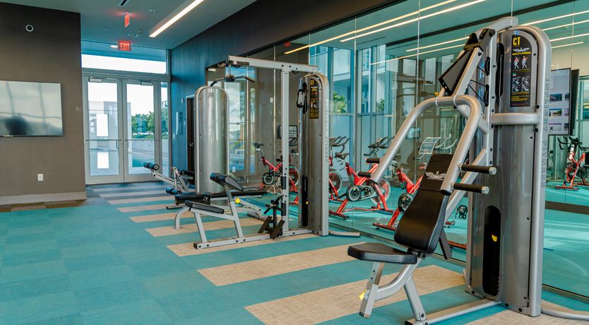 Photo of Design District Dandy