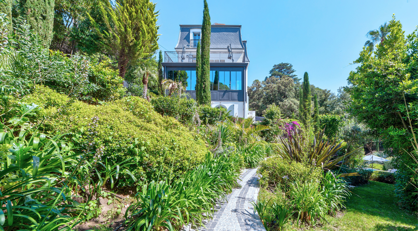 Photo of The Lark's Song