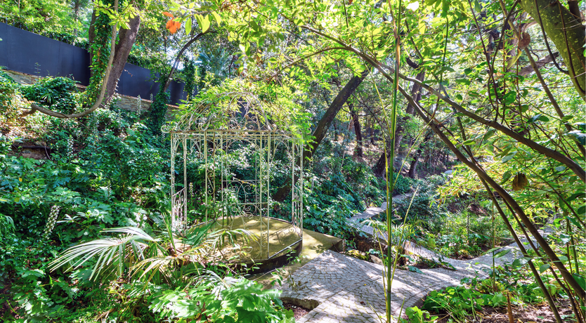 Photo of The Lark's Song