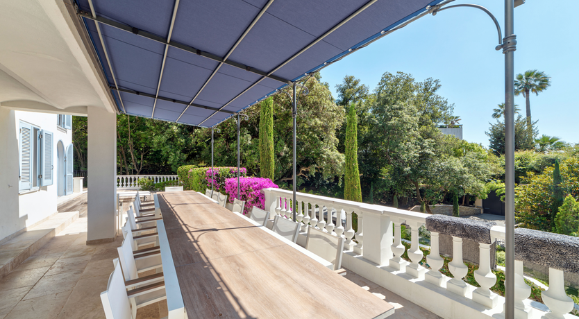 Photo of The Lark's Song