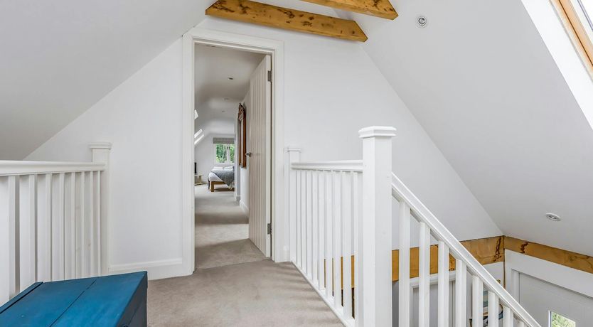 Photo of The Vegetable Garden