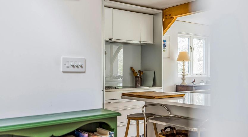 Photo of The Vegetable Garden