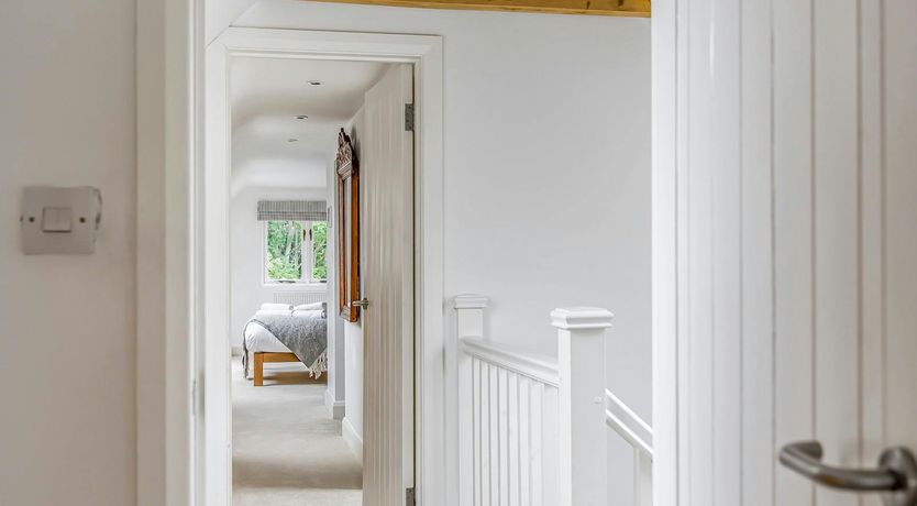 Photo of The Vegetable Garden