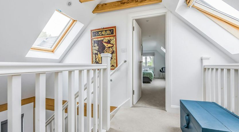 Photo of The Vegetable Garden