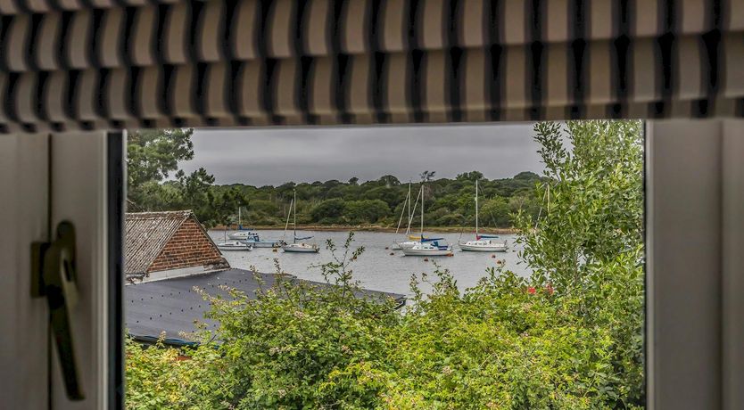 Photo of The Vegetable Garden